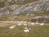 Via del Sale - Alpi Marittime - 189